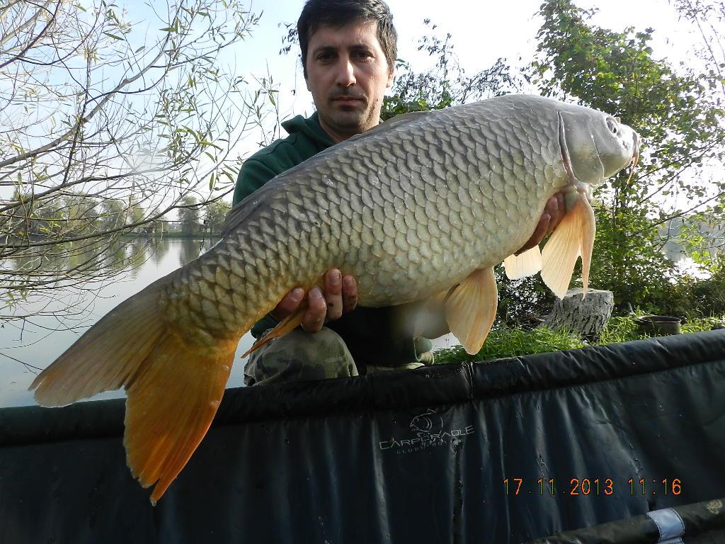 15 noiembrie 2013 - dscn1826.JPG